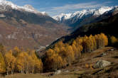 20101104_131331 Bregaglia autunnale da Pesceda.jpg